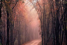 开云体育官方网站-布宜诺斯艾利斯独立防线协作提升，力求限制攻击