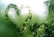 开云平台-摩洛哥瓦赫达新星爆发，挑战西雅图海湾者防线坚固