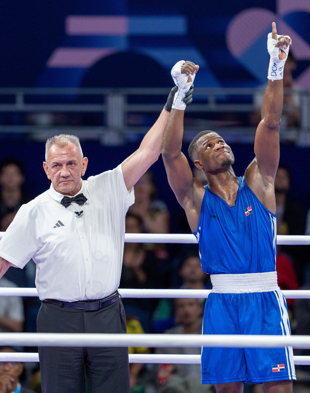 拳击比赛：墨西哥选手获得冠军