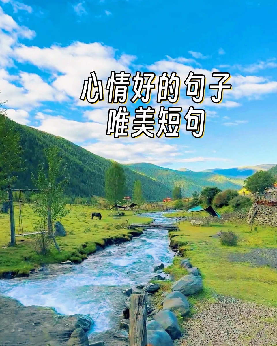 胜利的滋味甜蜜而可贵，每一次努力都是值得的的简单介绍